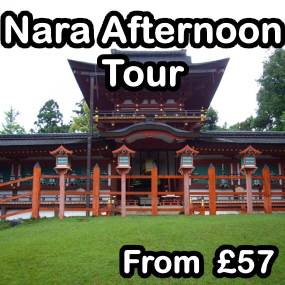 Nara Afternoon Tour