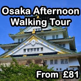 Osaka Afternoon Walking Tour